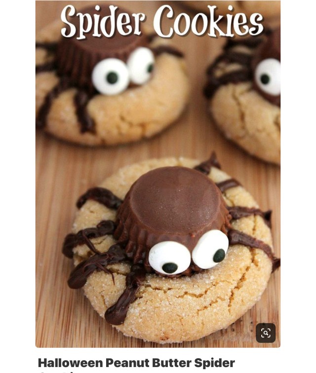 Spider cookies1.jpeg